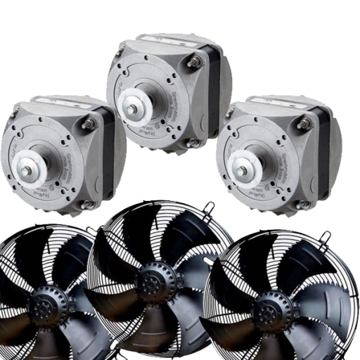 FANLAR