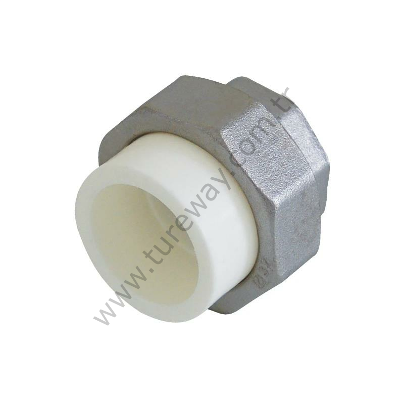 Eco Oynar Başlı Dişi Rakor Ø25X3/4 -Beyaz