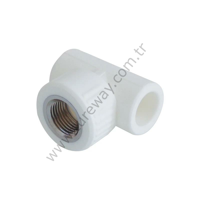 PP Dişi Te Ø40×1¼×40 - Kalde Beyaz